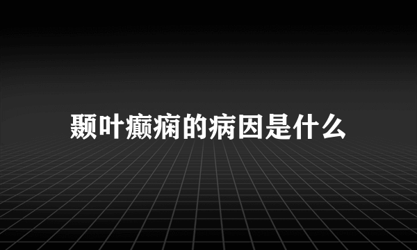 颞叶癫痫的病因是什么