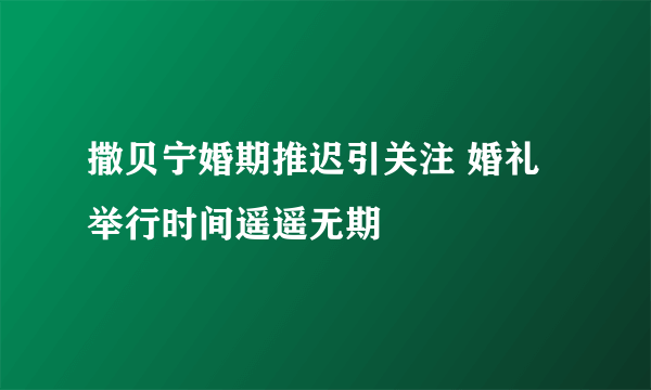 撒贝宁婚期推迟引关注 婚礼举行时间遥遥无期