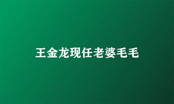 王金龙现任老婆毛毛