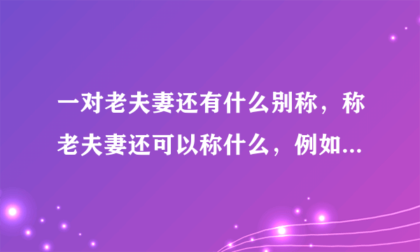 一对老夫妻还有什么别称，称老夫妻还可以称什么，例如伉俪等等？