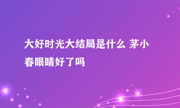 大好时光大结局是什么 茅小春眼睛好了吗