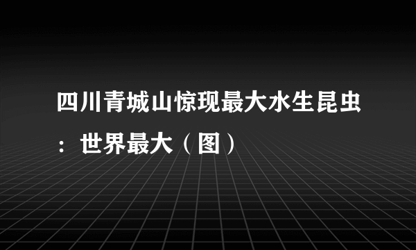 四川青城山惊现最大水生昆虫：世界最大（图）