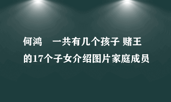 何鸿燊一共有几个孩子 赌王的17个子女介绍图片家庭成员