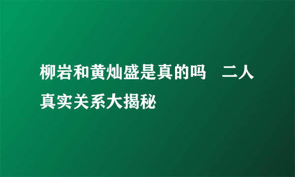 柳岩和黄灿盛是真的吗   二人真实关系大揭秘