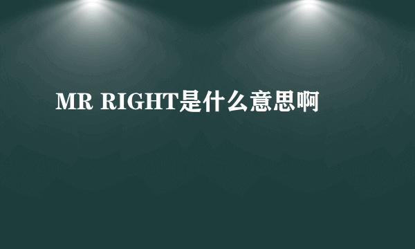 MR RIGHT是什么意思啊