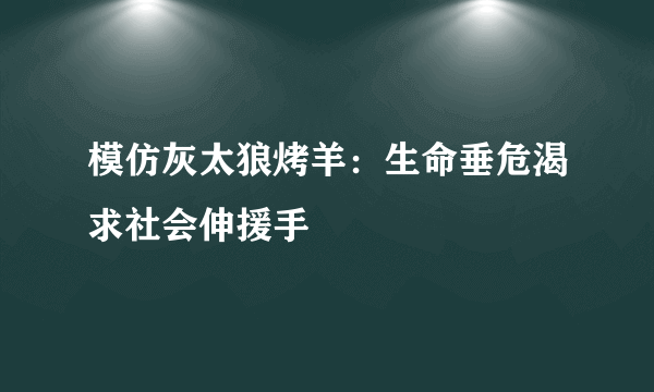 模仿灰太狼烤羊：生命垂危渴求社会伸援手