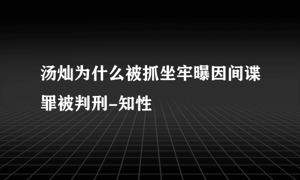 汤灿为什么被抓坐牢曝因间谍罪被判刑-知性