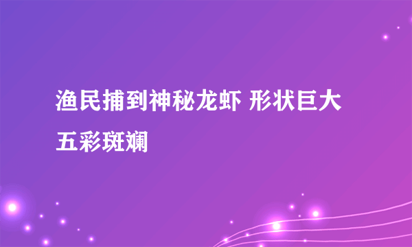 渔民捕到神秘龙虾 形状巨大五彩斑斓