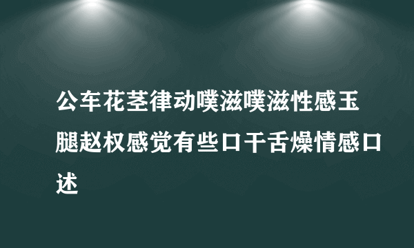 公车花茎律动噗滋噗滋性感玉腿赵权感觉有些口干舌燥情感口述