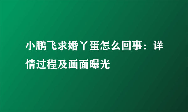 小鹏飞求婚丫蛋怎么回事：详情过程及画面曝光