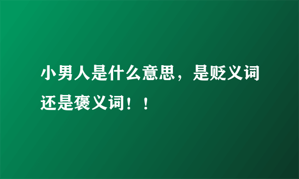 小男人是什么意思，是贬义词还是褒义词！！