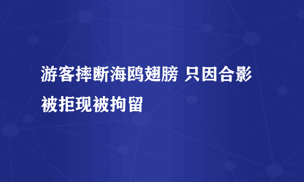 游客摔断海鸥翅膀 只因合影被拒现被拘留