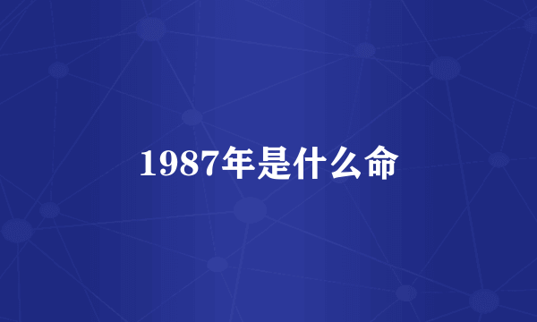 1987年是什么命