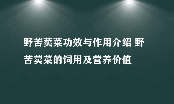 野苦荬菜功效与作用介绍 野苦荬菜的饲用及营养价值