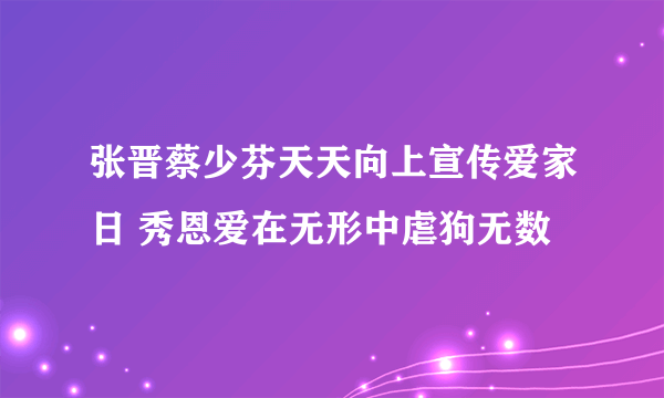 张晋蔡少芬天天向上宣传爱家日 秀恩爱在无形中虐狗无数