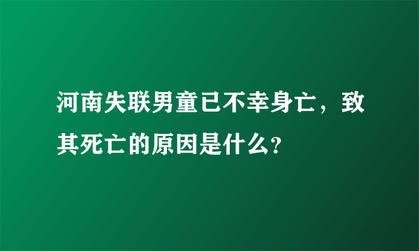 河南失联男童已不幸身亡，致其死亡的原因是什么？