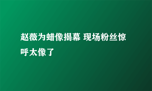 赵薇为蜡像揭幕 现场粉丝惊呼太像了