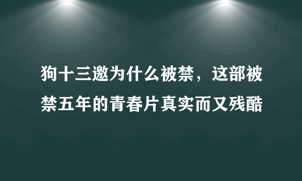 狗十三邀为什么被禁，这部被禁五年的青春片真实而又残酷