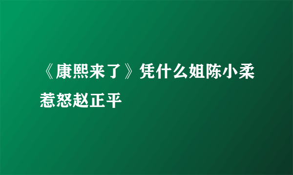 《康熙来了》凭什么姐陈小柔惹怒赵正平