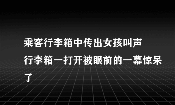 乘客行李箱中传出女孩叫声 行李箱一打开被眼前的一幕惊呆了