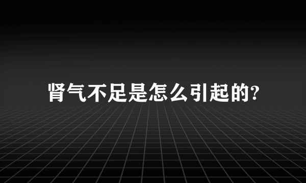 肾气不足是怎么引起的?