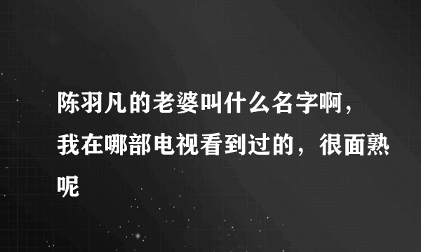 陈羽凡的老婆叫什么名字啊，我在哪部电视看到过的，很面熟呢