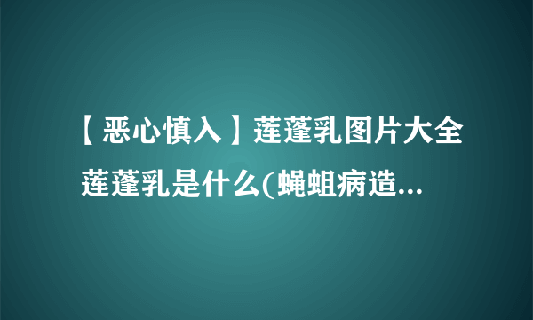 【恶心慎入】莲蓬乳图片大全 莲蓬乳是什么(蝇蛆病造成乳房溃烂)