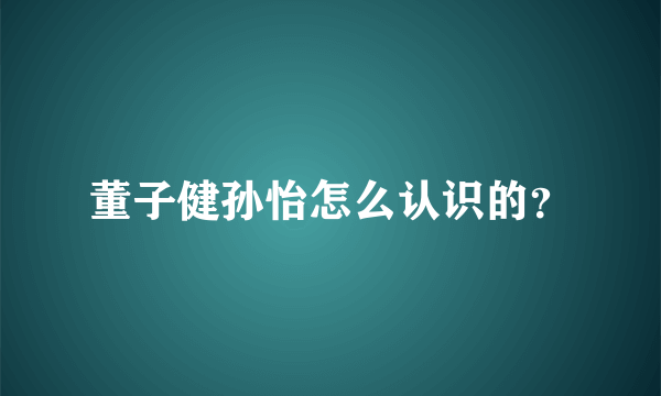 董子健孙怡怎么认识的？