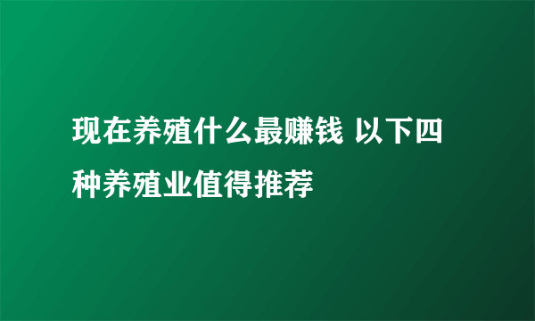 现在养殖什么最赚钱 以下四种养殖业值得推荐