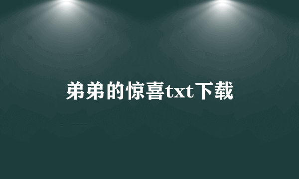 弟弟的惊喜txt下载