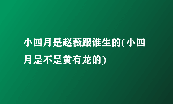 小四月是赵薇跟谁生的(小四月是不是黄有龙的)