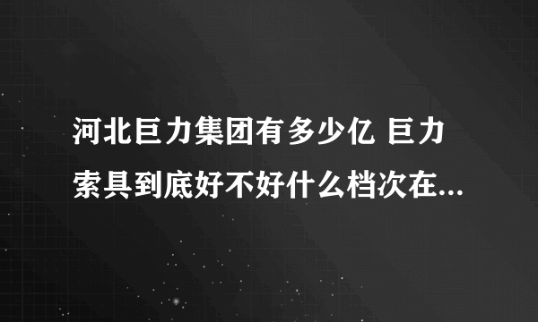 河北巨力集团有多少亿 巨力索具到底好不好什么档次在全国排第几