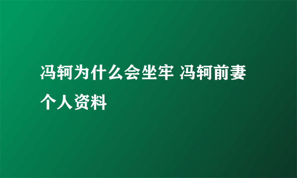 冯轲为什么会坐牢 冯轲前妻个人资料