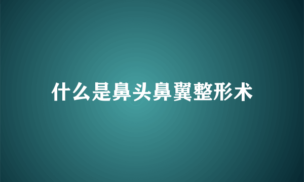 什么是鼻头鼻翼整形术