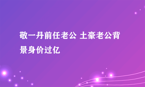 敬一丹前任老公 土豪老公背景身价过亿