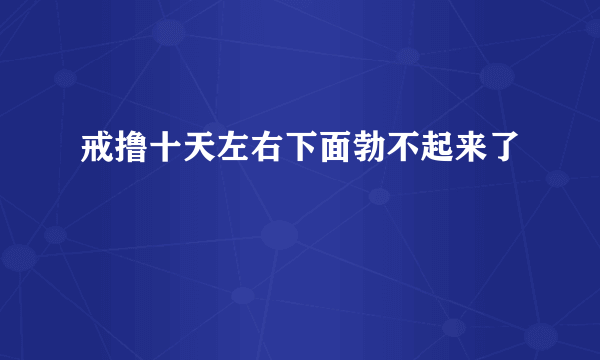 戒撸十天左右下面勃不起来了