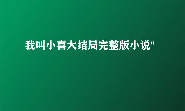 我叫小喜大结局完整版小说