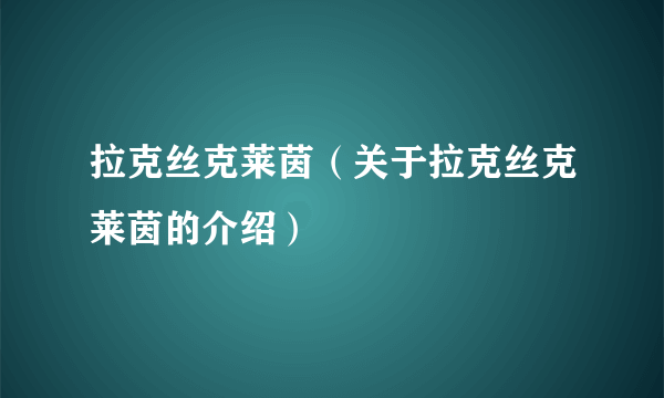 拉克丝克莱茵（关于拉克丝克莱茵的介绍）