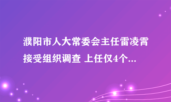 濮阳市人大常委会主任雷凌霄接受组织调查 上任仅4个月(图|简历)