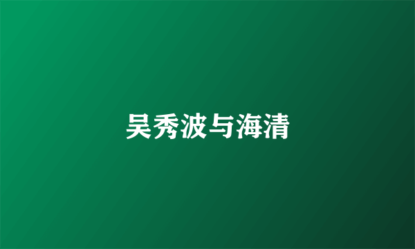 吴秀波与海清