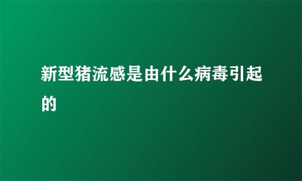 新型猪流感是由什么病毒引起的