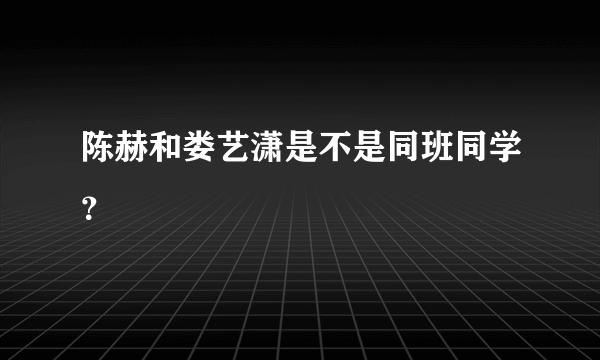 陈赫和娄艺潇是不是同班同学？