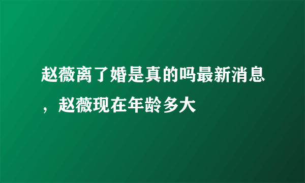 赵薇离了婚是真的吗最新消息，赵薇现在年龄多大