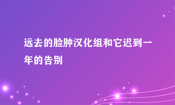 远去的脸肿汉化组和它迟到一年的告别