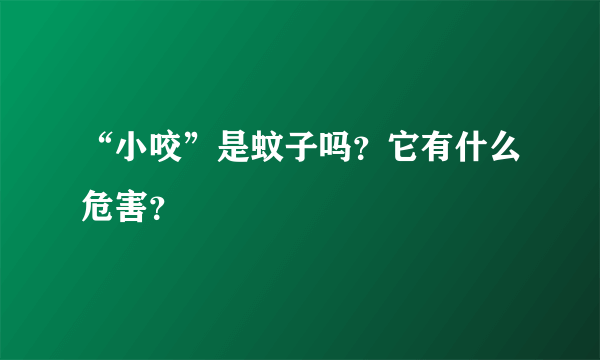 “小咬”是蚊子吗？它有什么危害？