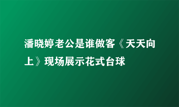 潘晓婷老公是谁做客《天天向上》现场展示花式台球