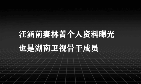 汪涵前妻林菁个人资料曝光 也是湖南卫视骨干成员