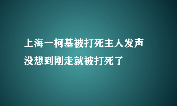 上海一柯基被打死主人发声 没想到刚走就被打死了