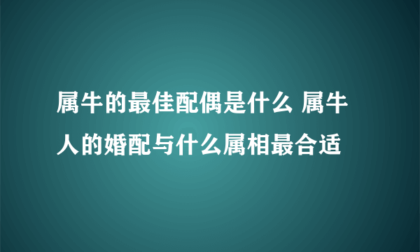 属牛的最佳配偶是什么 属牛人的婚配与什么属相最合适