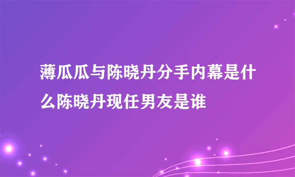 薄瓜瓜与陈晓丹分手内幕是什么陈晓丹现任男友是谁